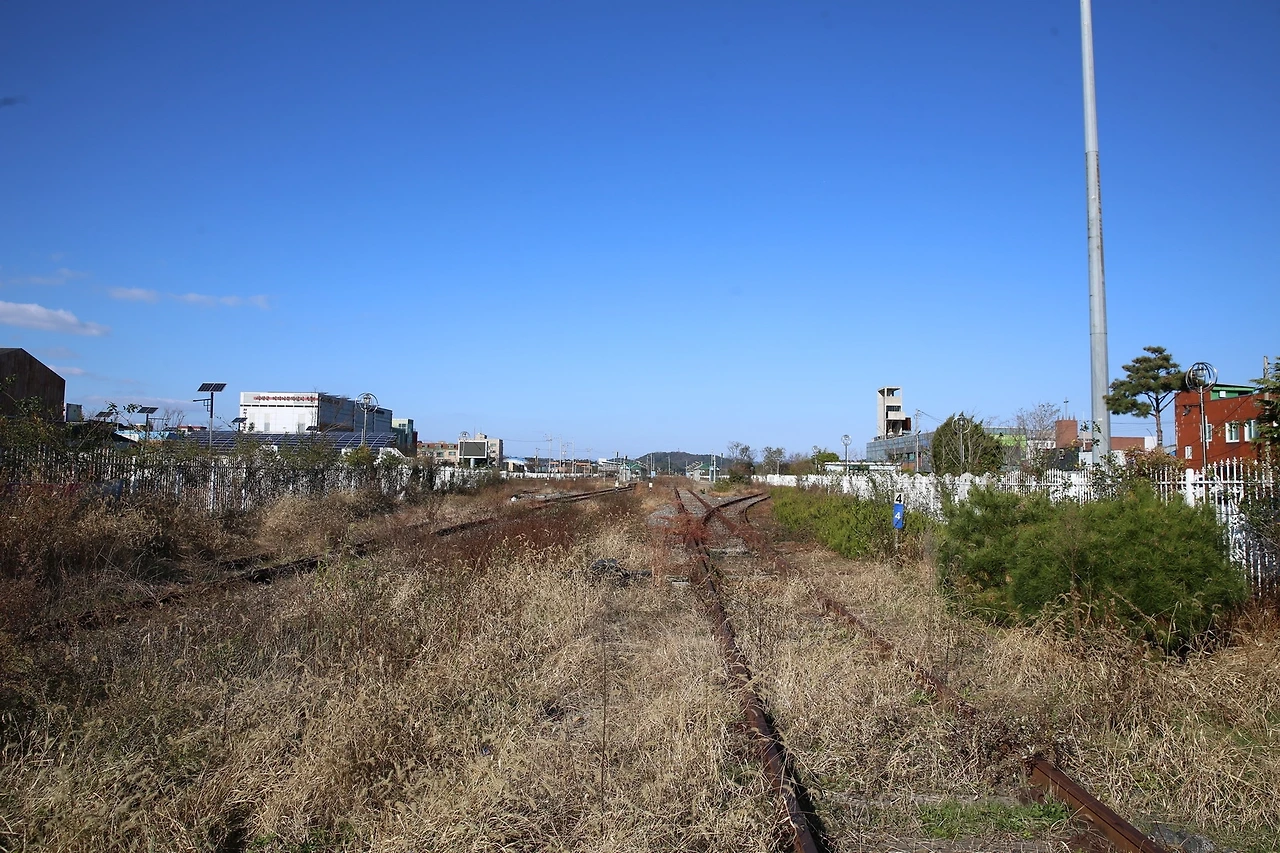 MG0A0597_новый размер.JPG