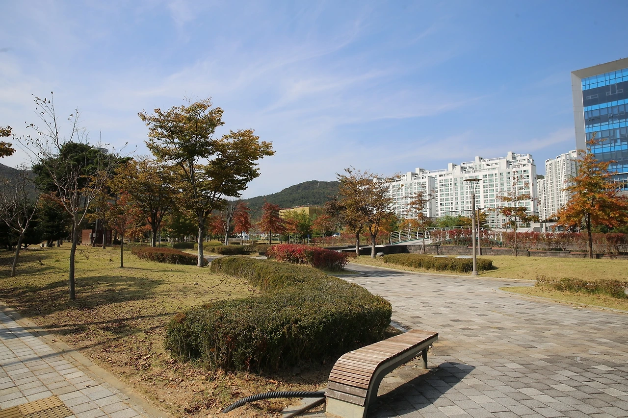 MG0A7291_новый размер.JPG