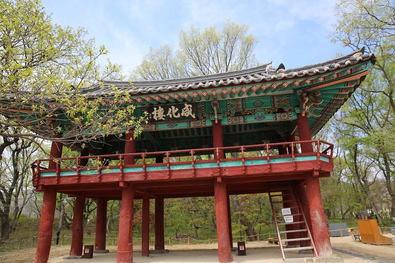 MG0A9157_новый размер.JPG