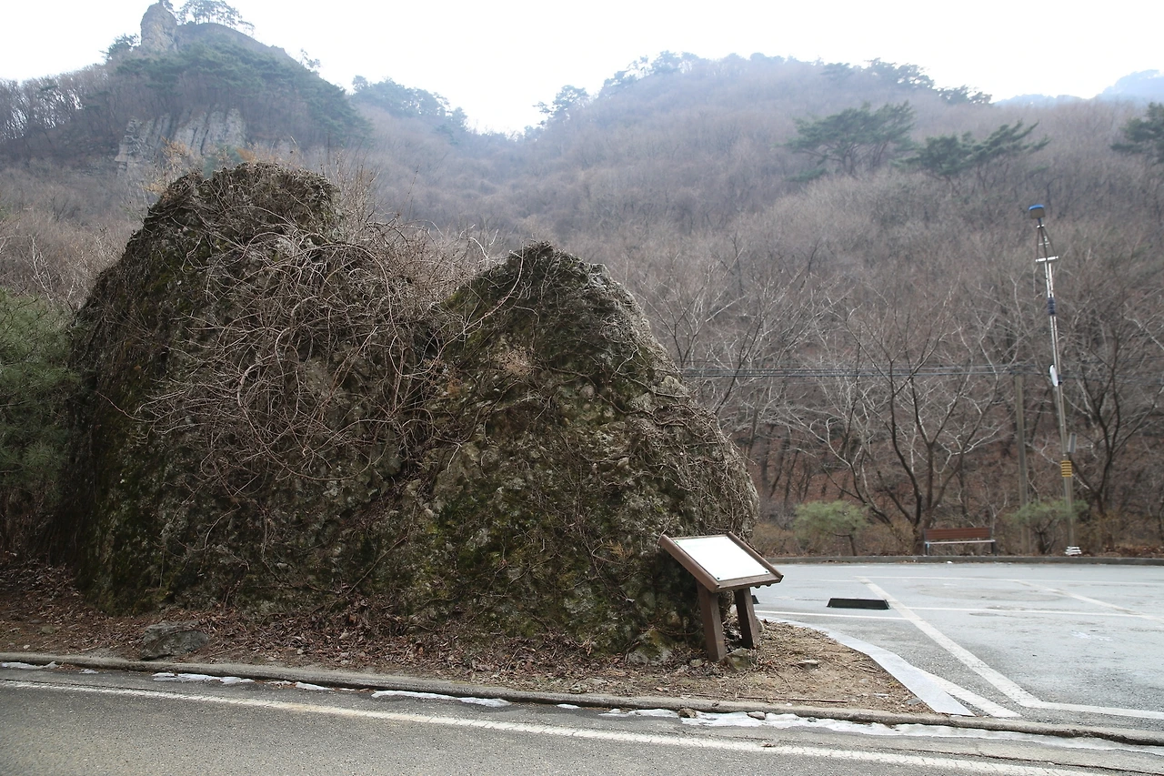 MG0A6429_новый размер.JPG