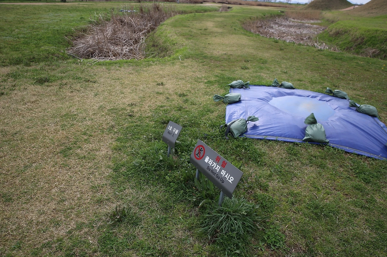 MG0A8236_новый размер.JPG