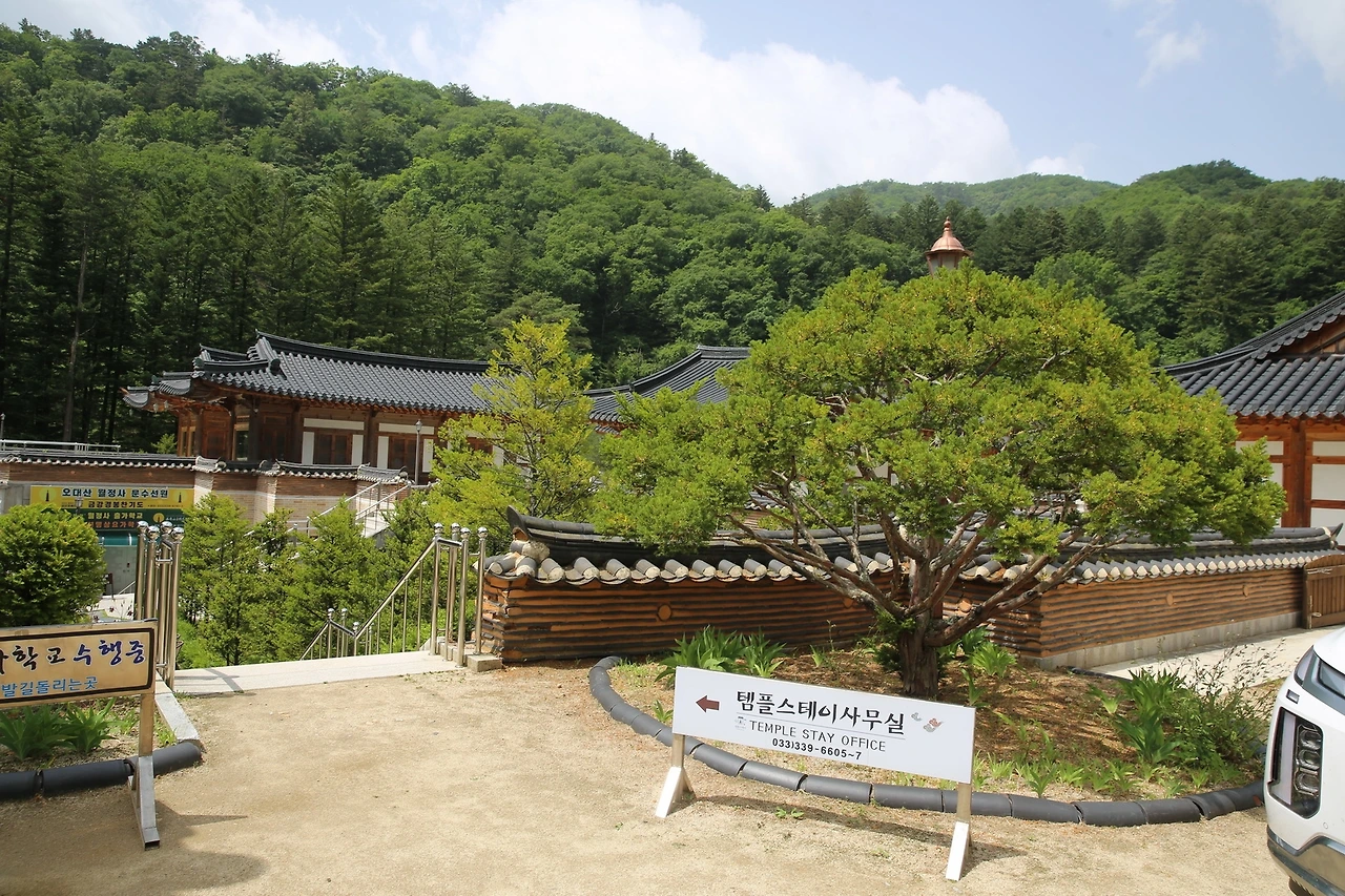 MG0A0789_новый размер - 복사본.JPG