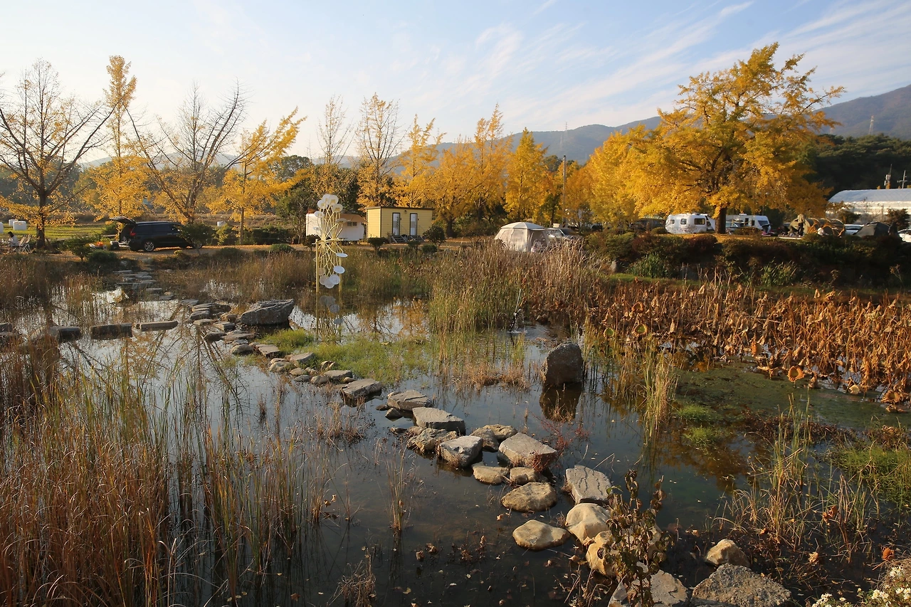 MG0A9401_новый размер.JPG