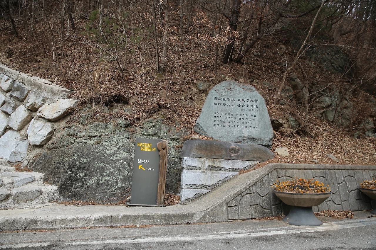 MG0A6425_новый размер.JPG