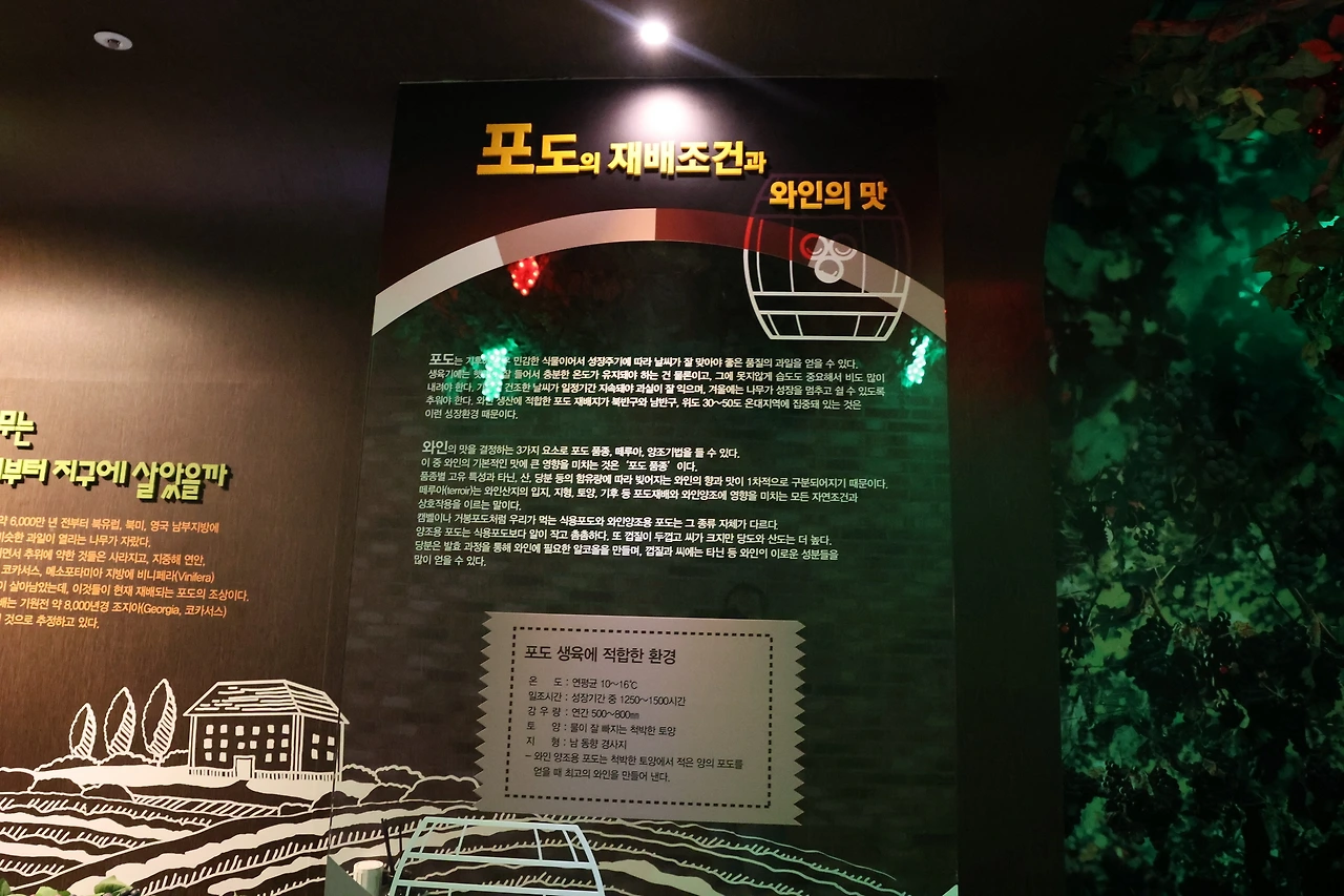 0R5A8118_новый размер.JPG