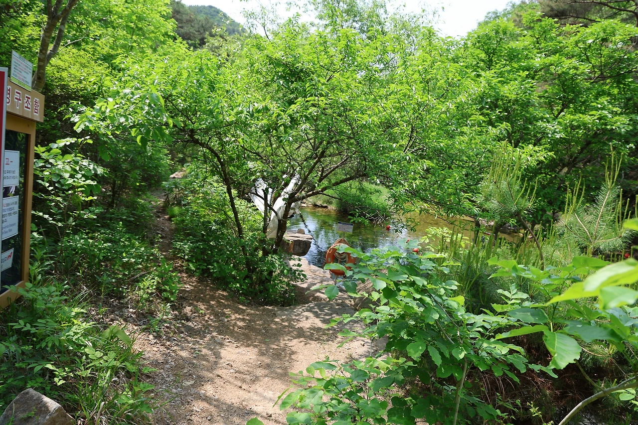 0R5A1381_новый размер.JPG