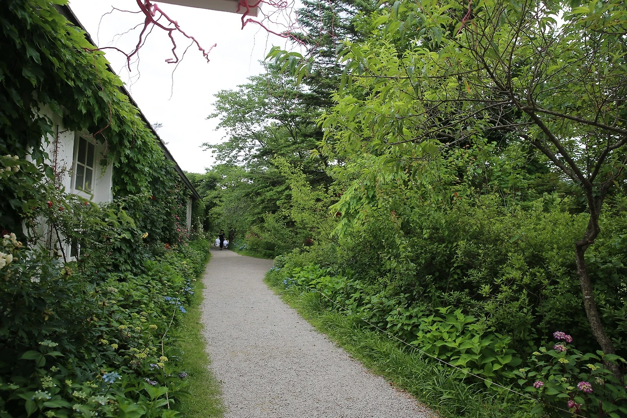 MG0A1867_новый размер.JPG