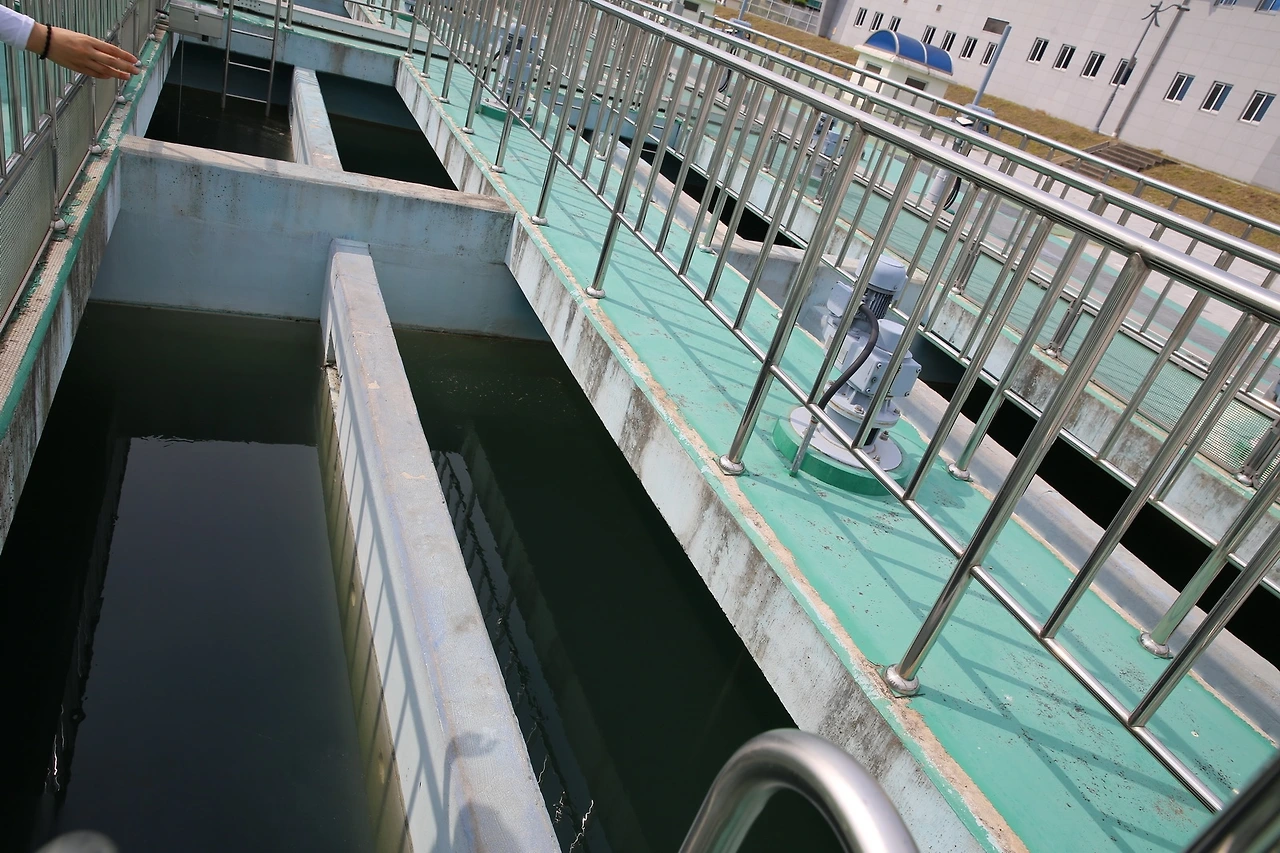 MG0A8076_новый размер.JPG