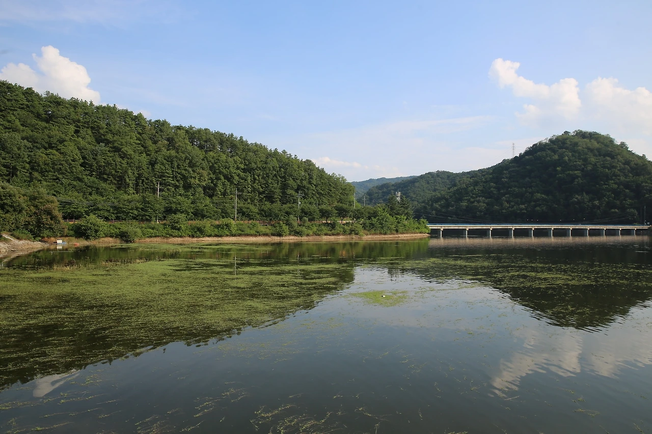 MG0A7441_новый размер.JPG