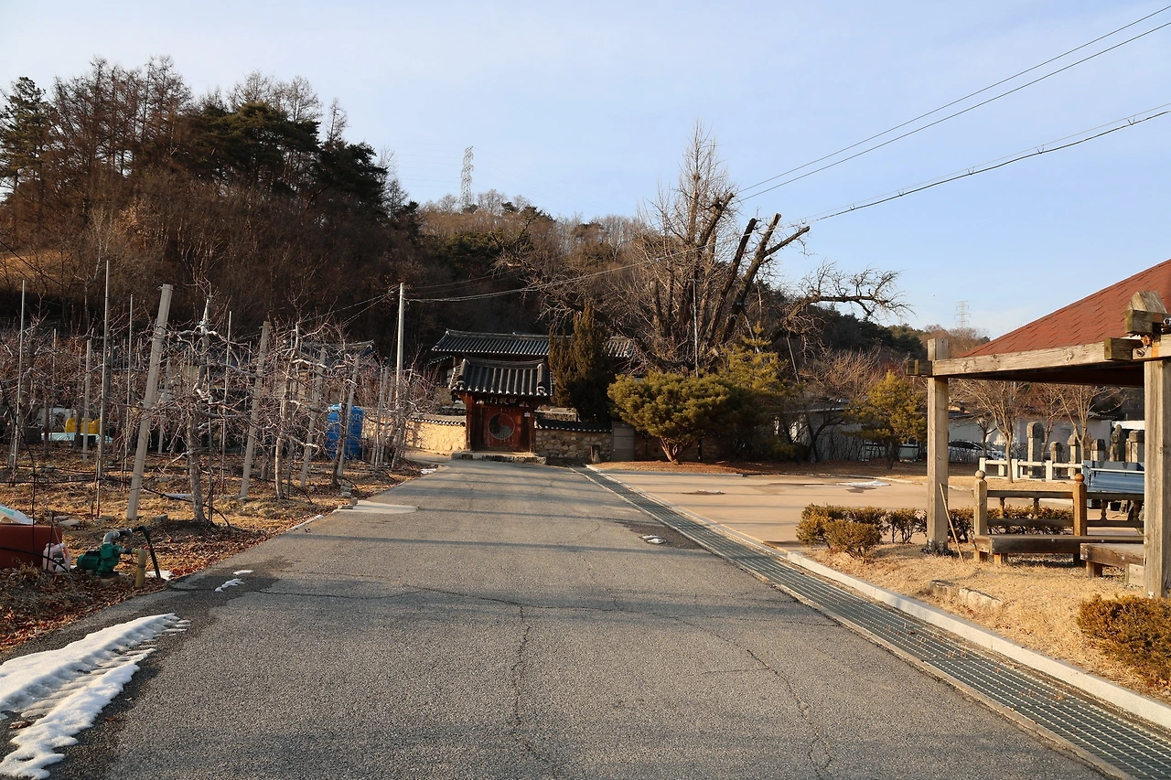 0R5A9374_новый размер.JPG