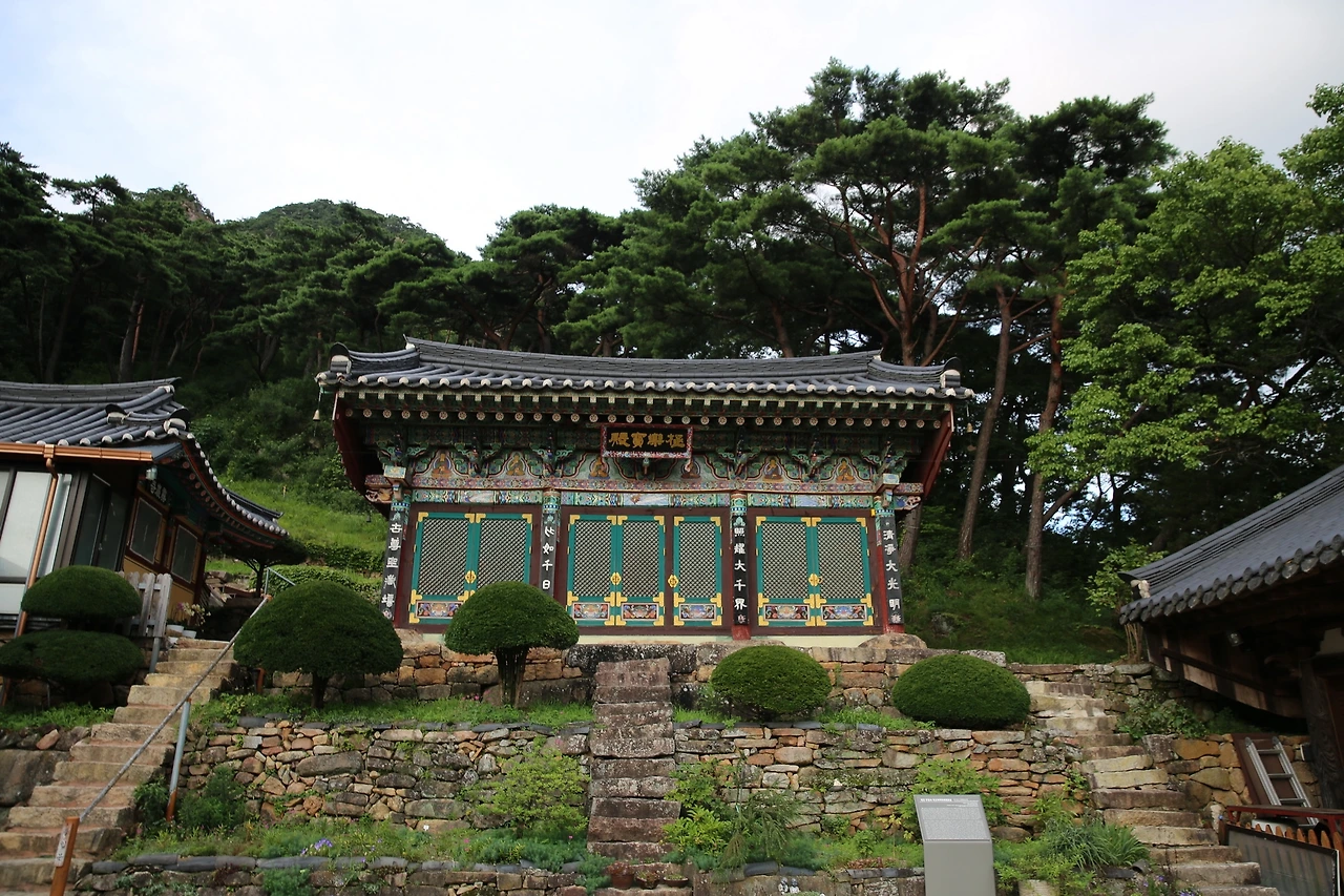 MG0A4552_новый размер.JPG