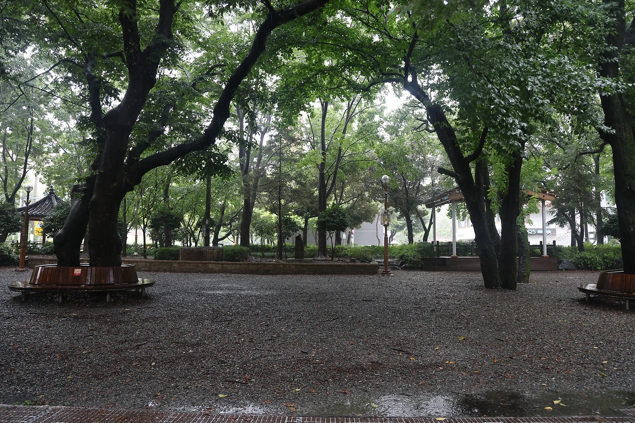 0R5A1450_новый размер.JPG