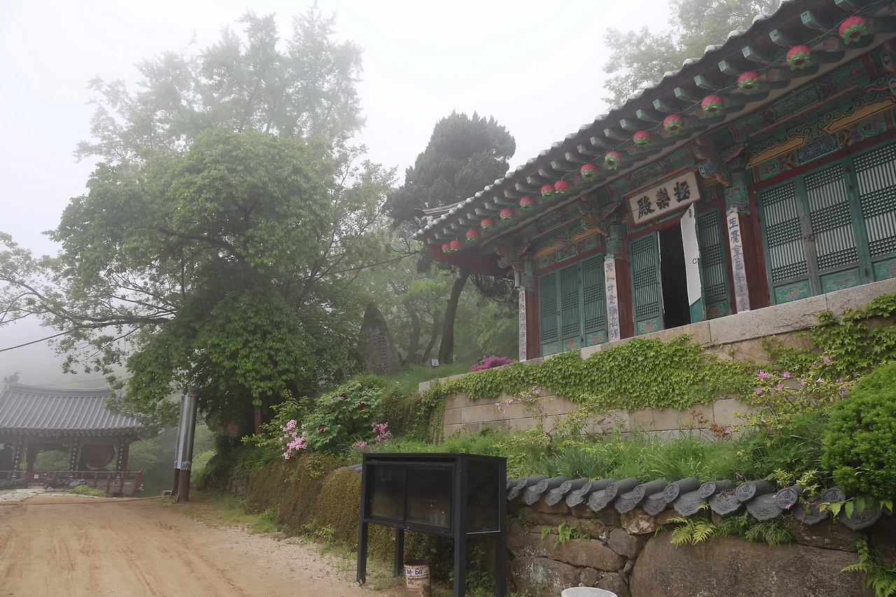 0R5A0774_новый размер.JPG