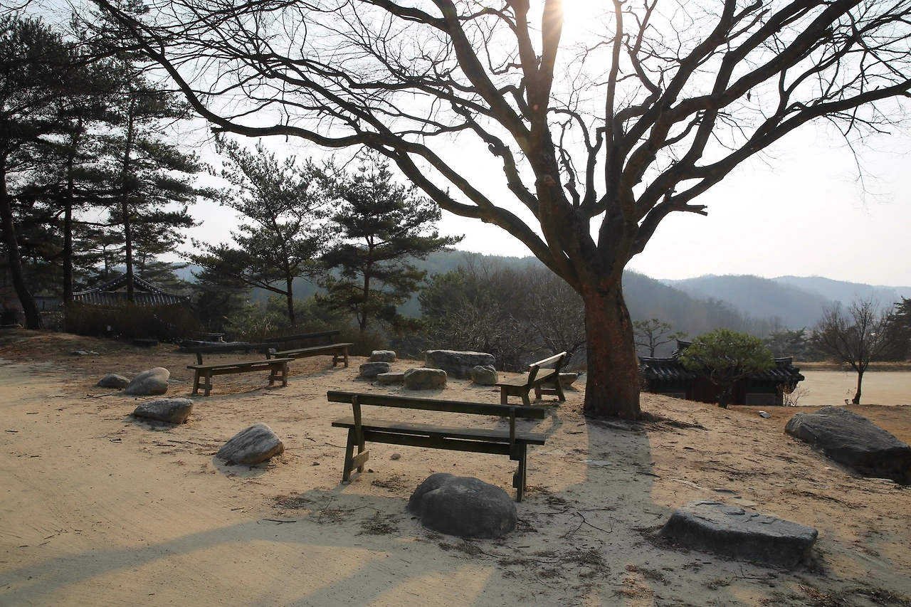 MG0A6380_новый размер.JPG