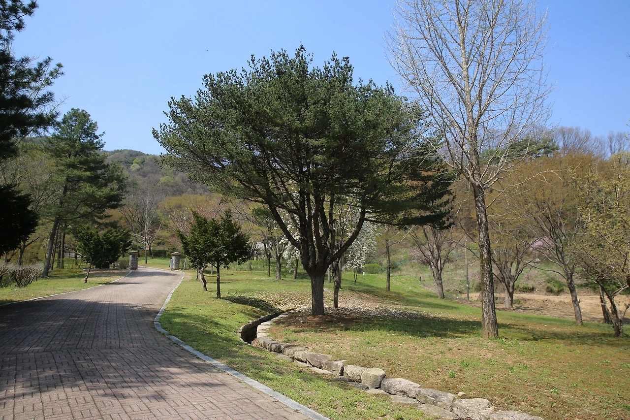 MG0A8626_новый размер.JPG