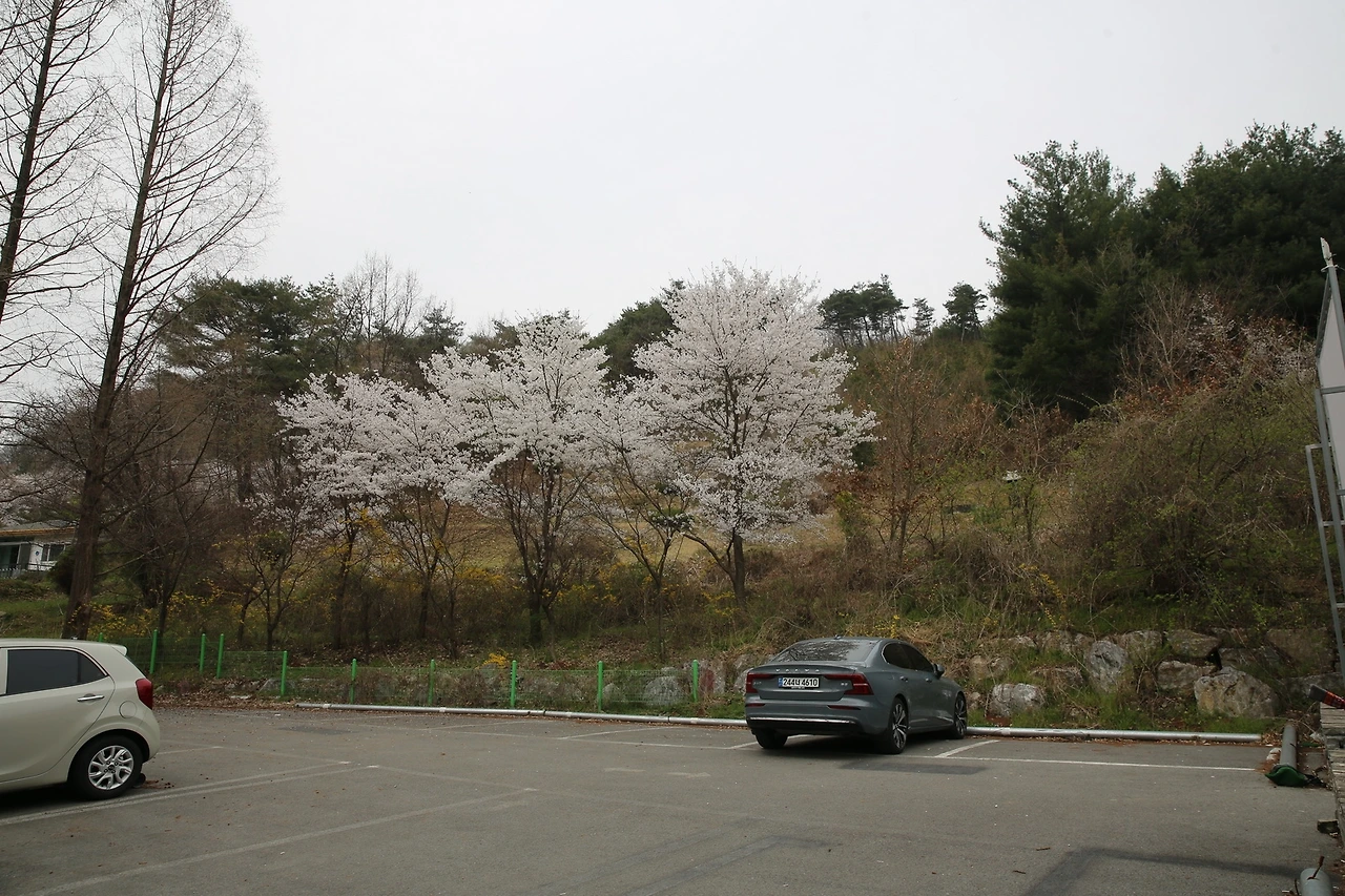 MG0A8594_новый размер.JPG