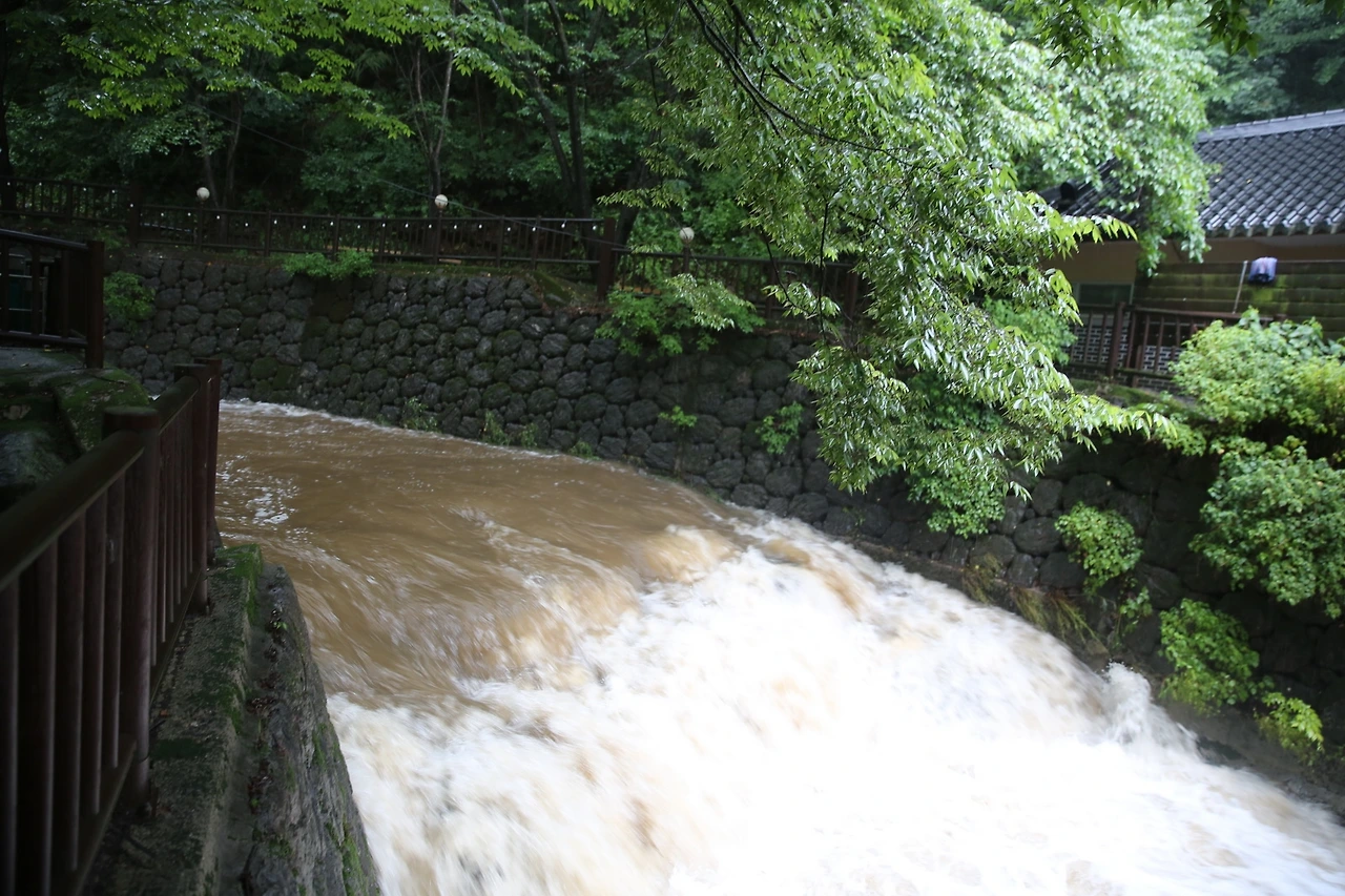 MG0A3344_новый размер.JPG