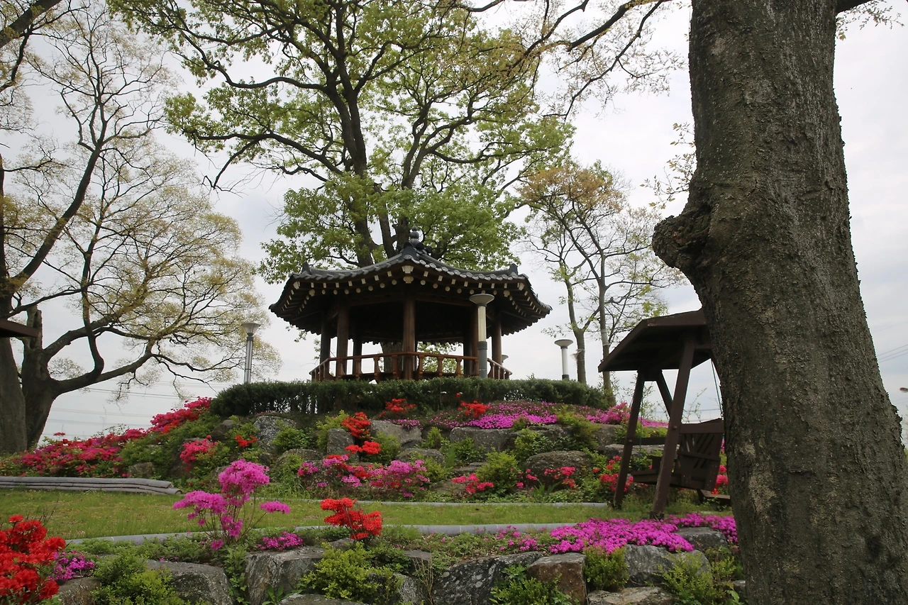 MG0A0525_новый размер.JPG