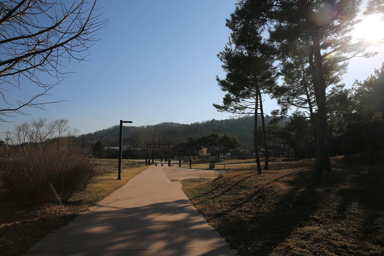 MG0A0161_новый размер.JPG