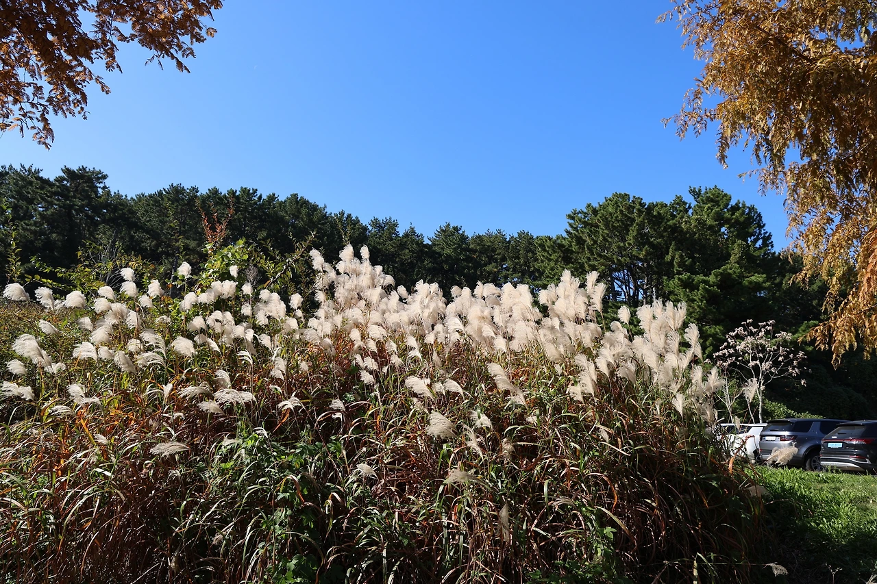 0R5A2713_новый размер.JPG