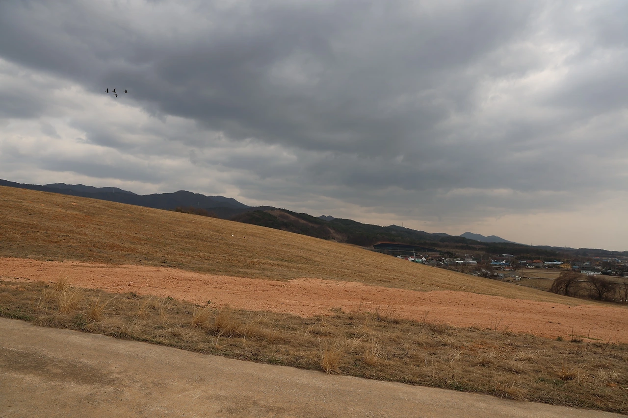 0R5A2811_новый размер.JPG