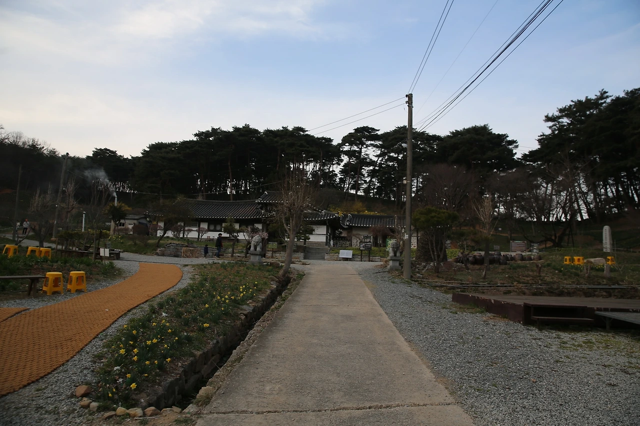 MG0A5996_новый размер.JPG