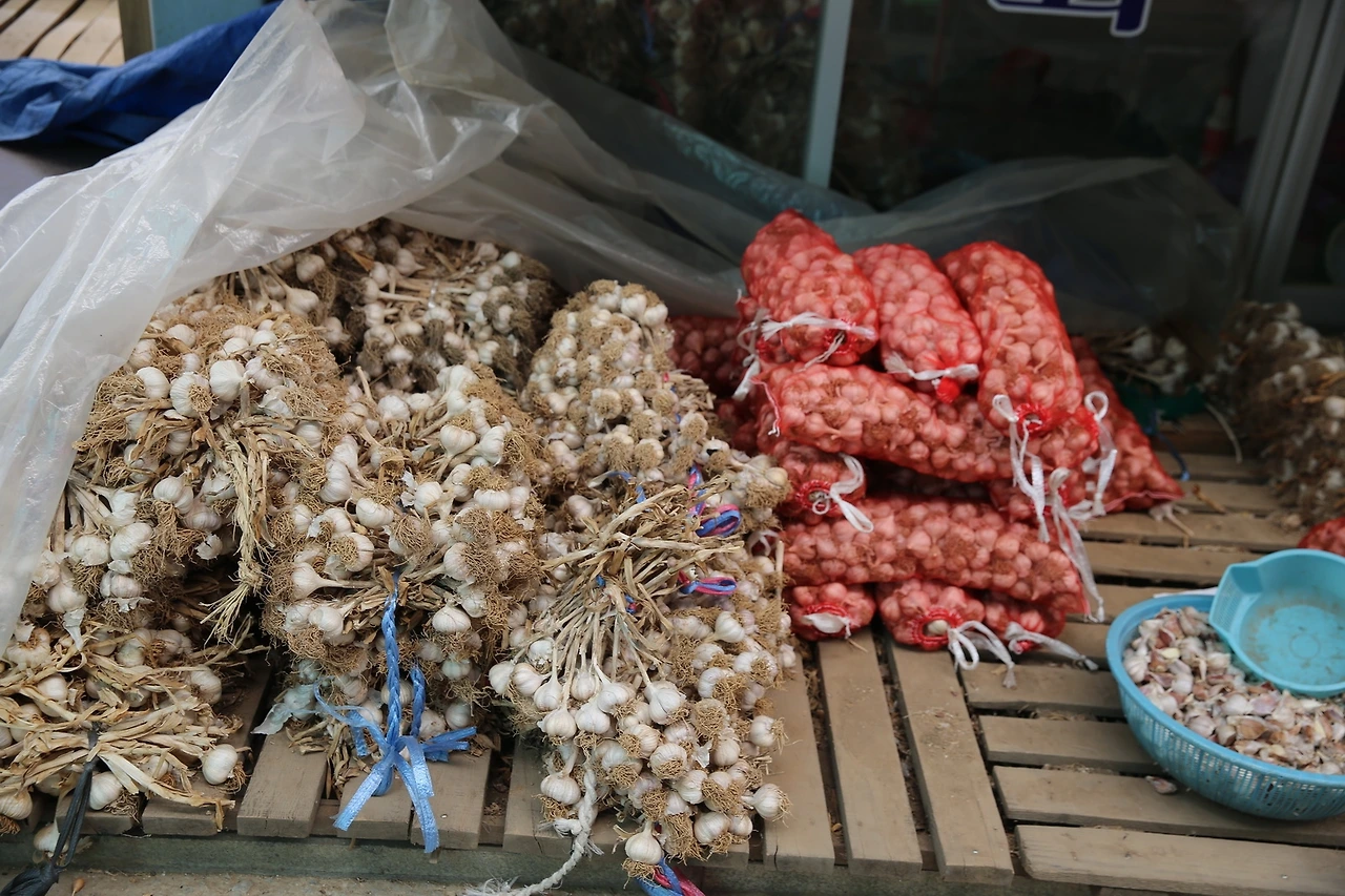 MG0A8561_новый размер.JPG