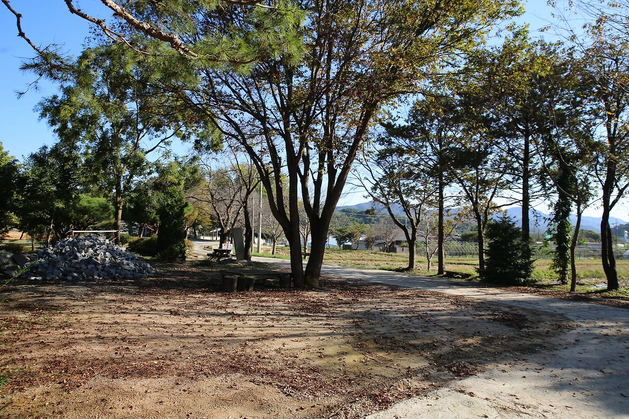 MG0A7439_новый размер.JPG