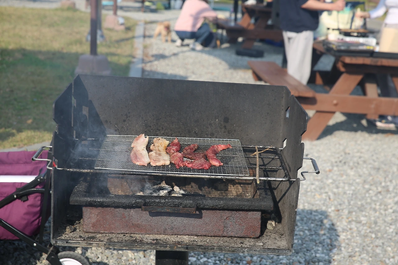 MG0A9670_новый размер.JPG