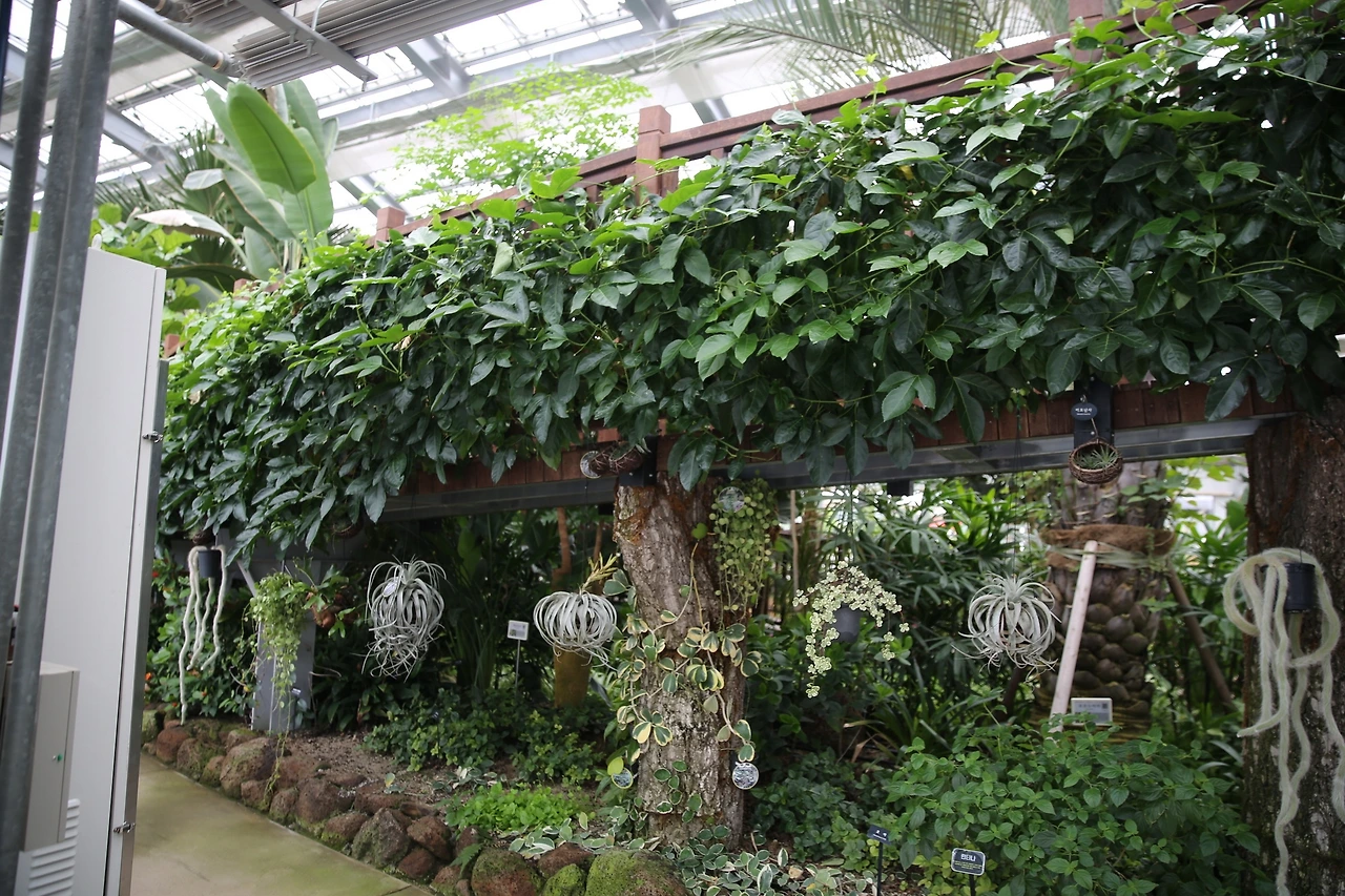 MG0A5030_новый размер.JPG