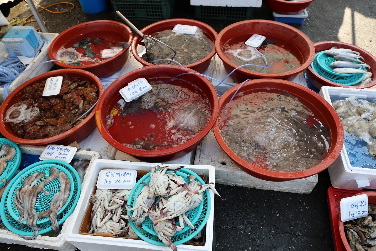 0R5A7567_новый размер.JPG