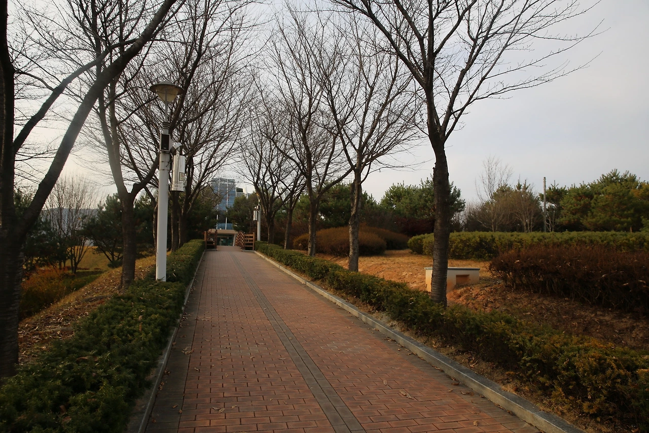 MG0A1781_новый размер.JPG