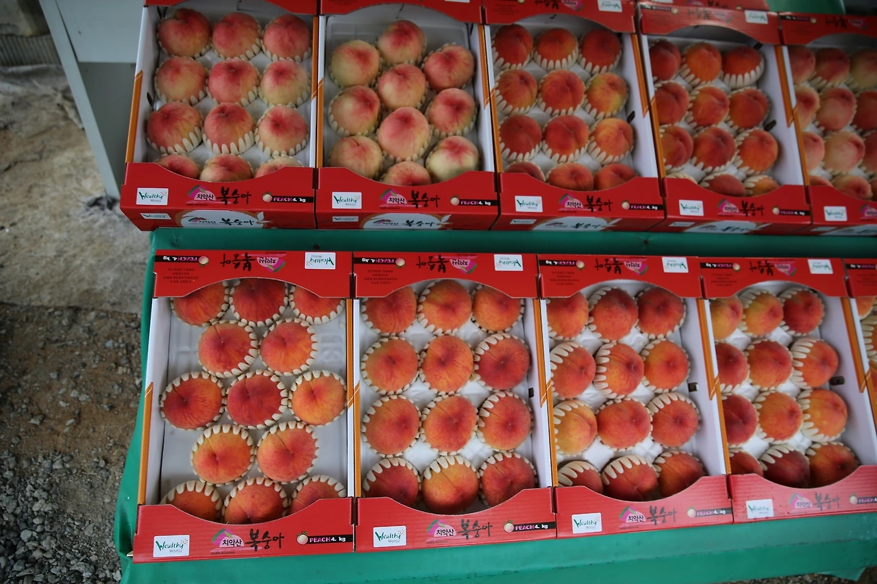 MG0A6200_новый размер.JPG