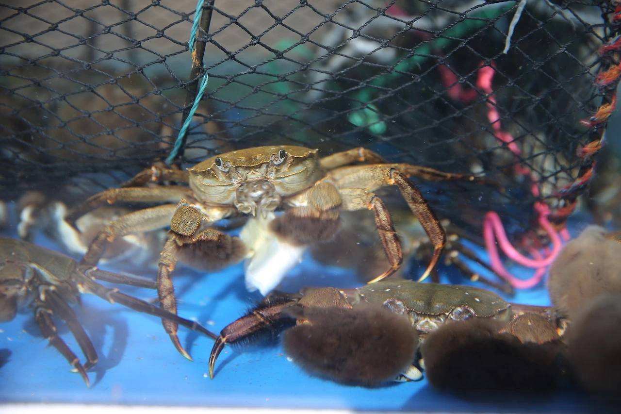 MG0A6172_новый размер.JPG