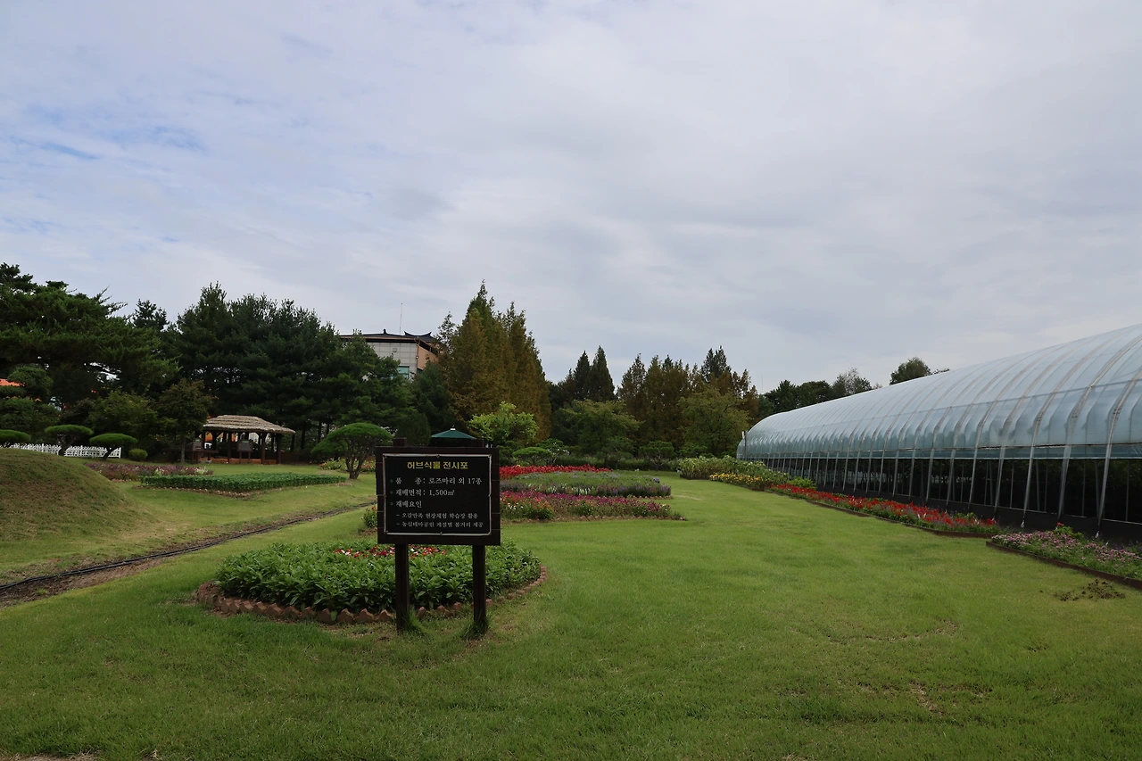 0R5A7703_новый размер.JPG