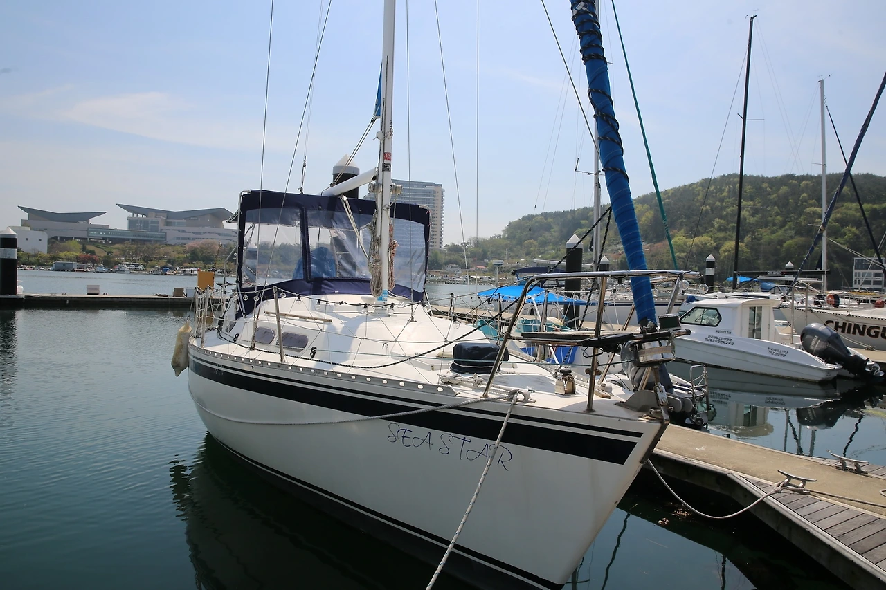 MG0A9096_новый размер.JPG