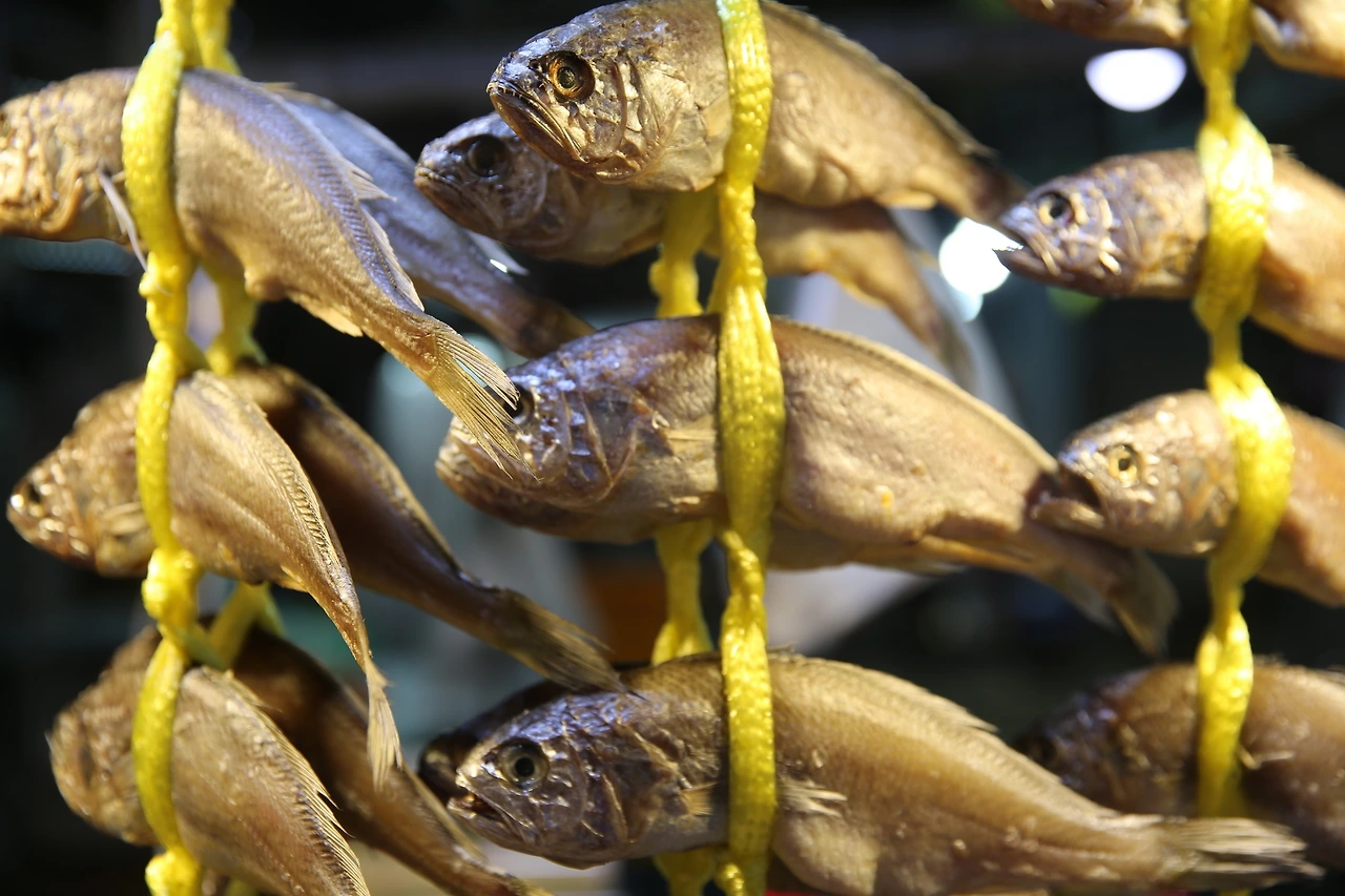 MG0A7184_новый размер.JPG