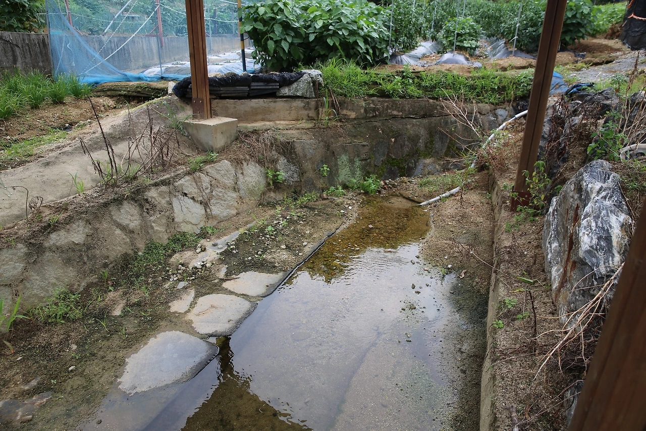 MG0A9647_новый размер.JPG