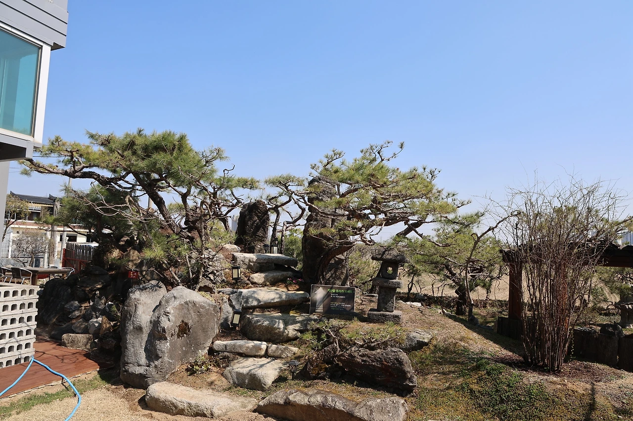 0R5A5462_новый размер.JPG