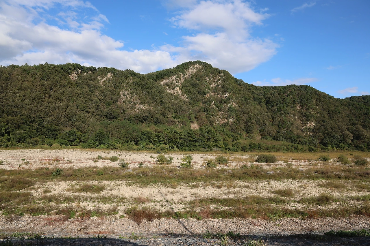 0R5A0933_новый размер.JPG