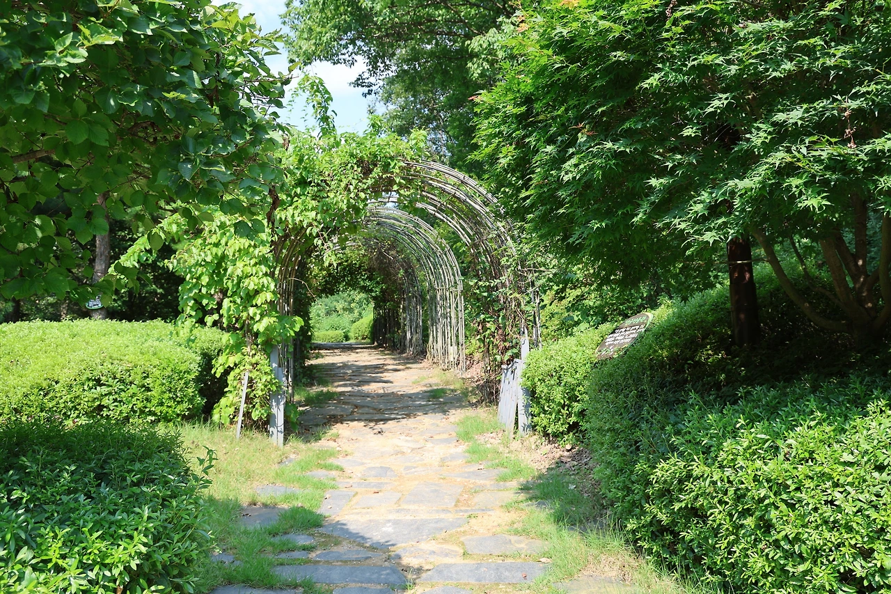 0R5A0377_новый размер.JPG