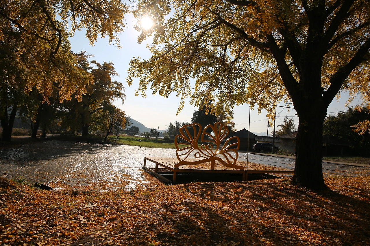 MG0A9353_новый размер.JPG