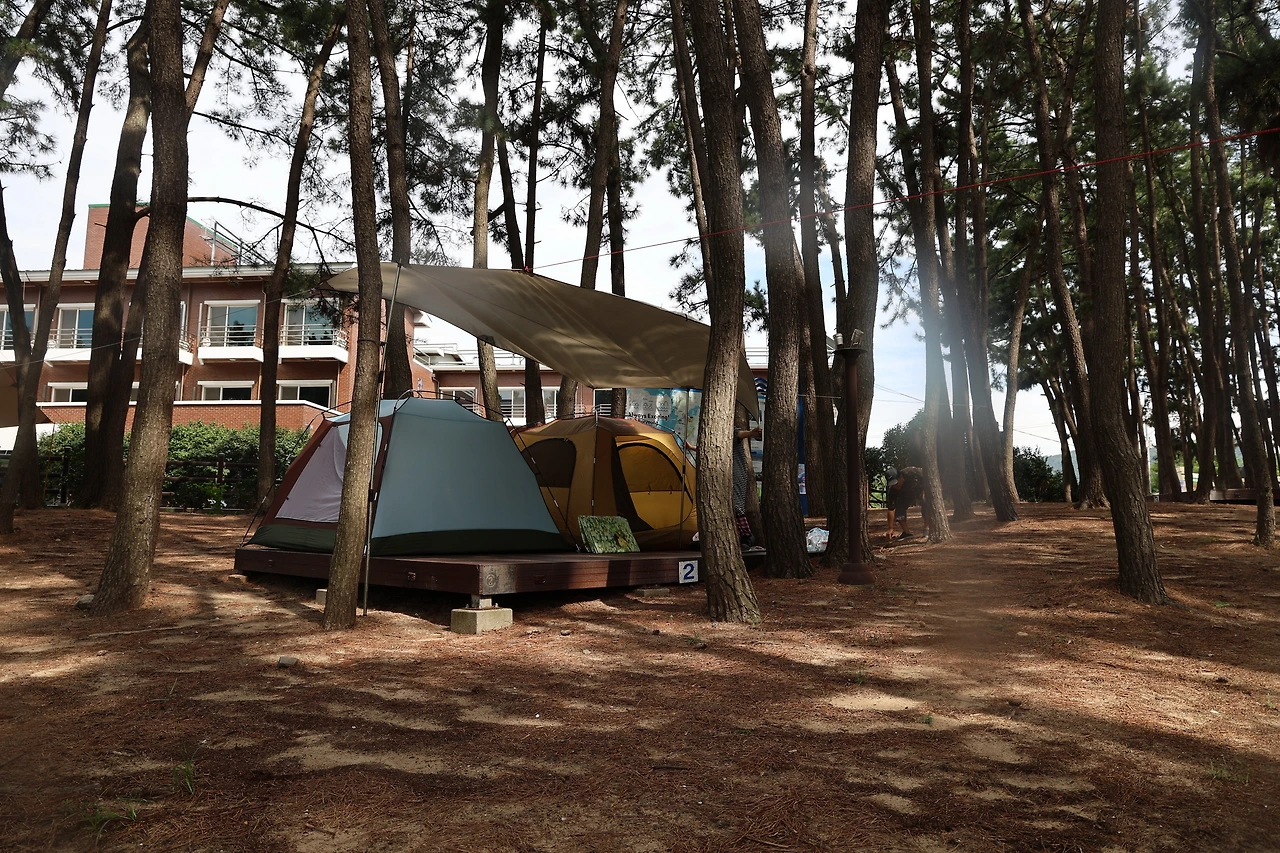 0R5A4431_новый размер.JPG