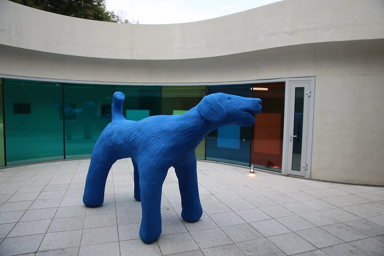 MG0A7683_новый размер.JPG