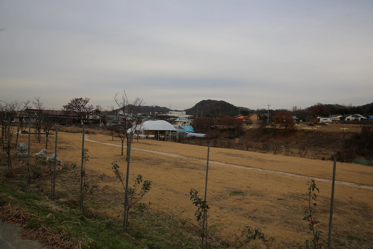 MG0A4434_новый размер.JPG