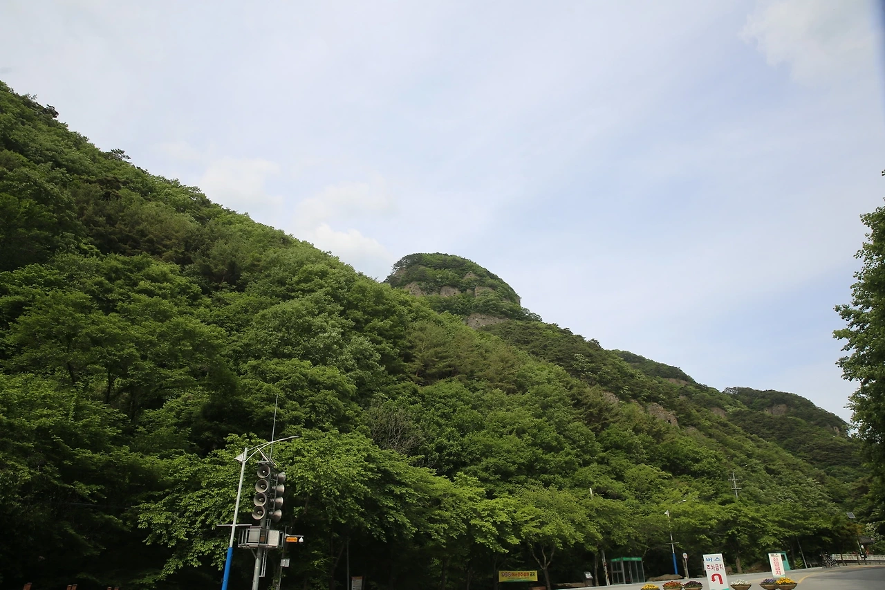 MG0A9884_новый размер.JPG