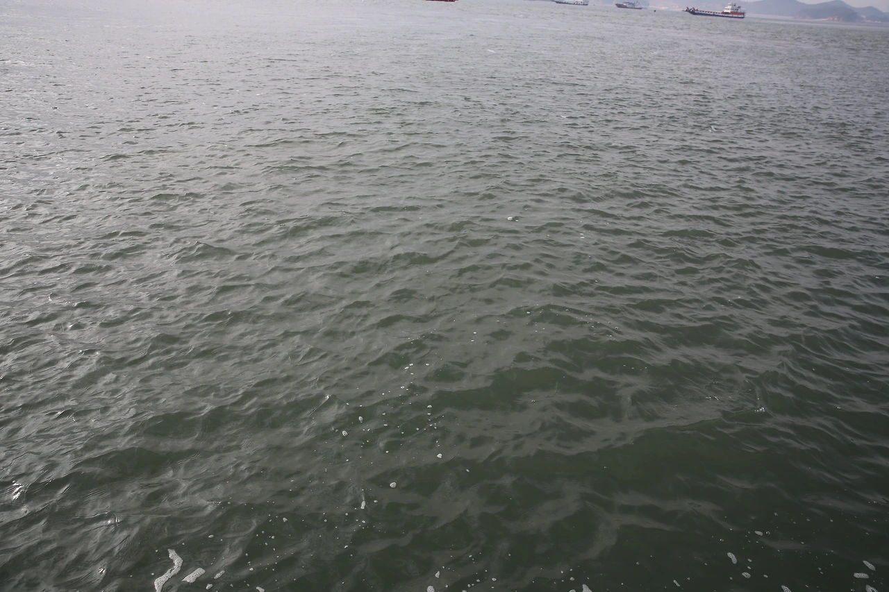 MG0A4544_новый размер.JPG