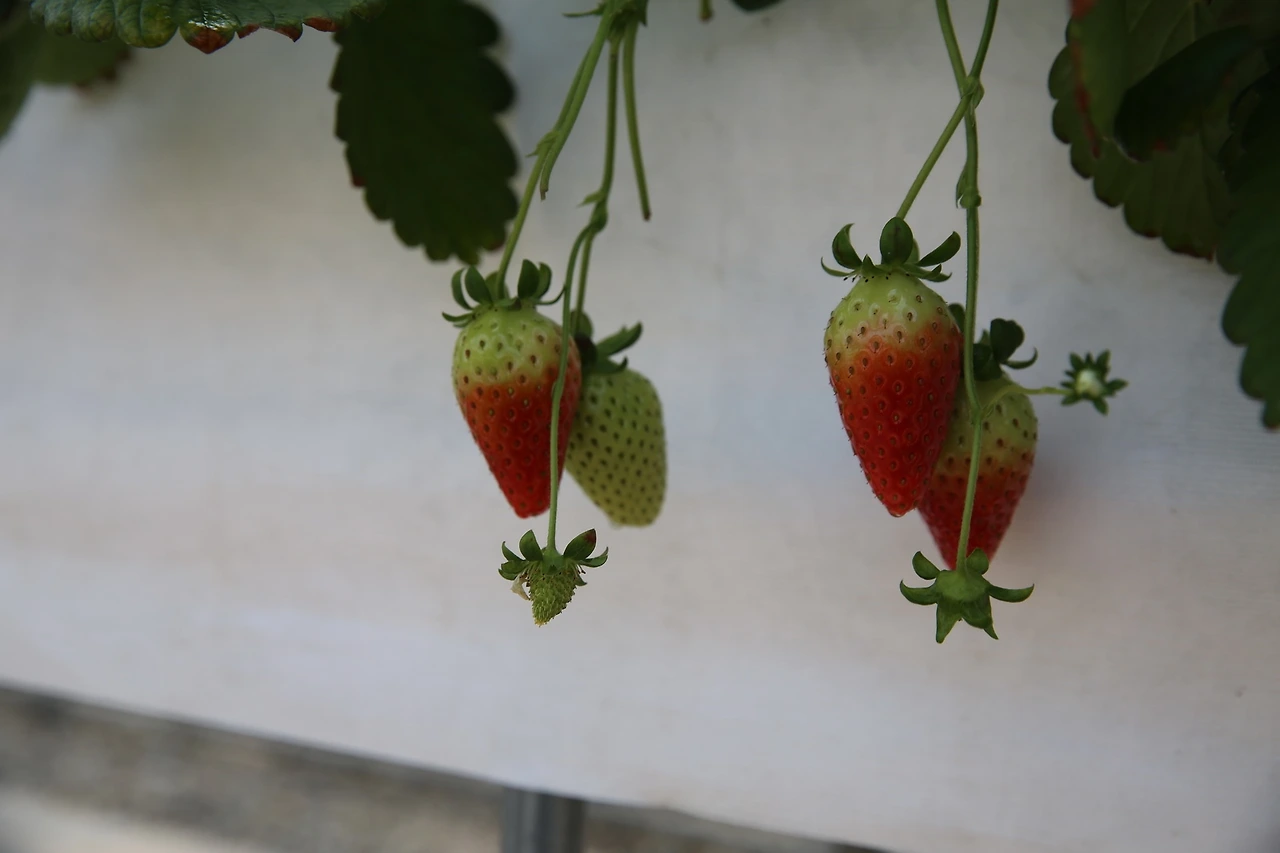 MG0A9430_новый размер.JPG