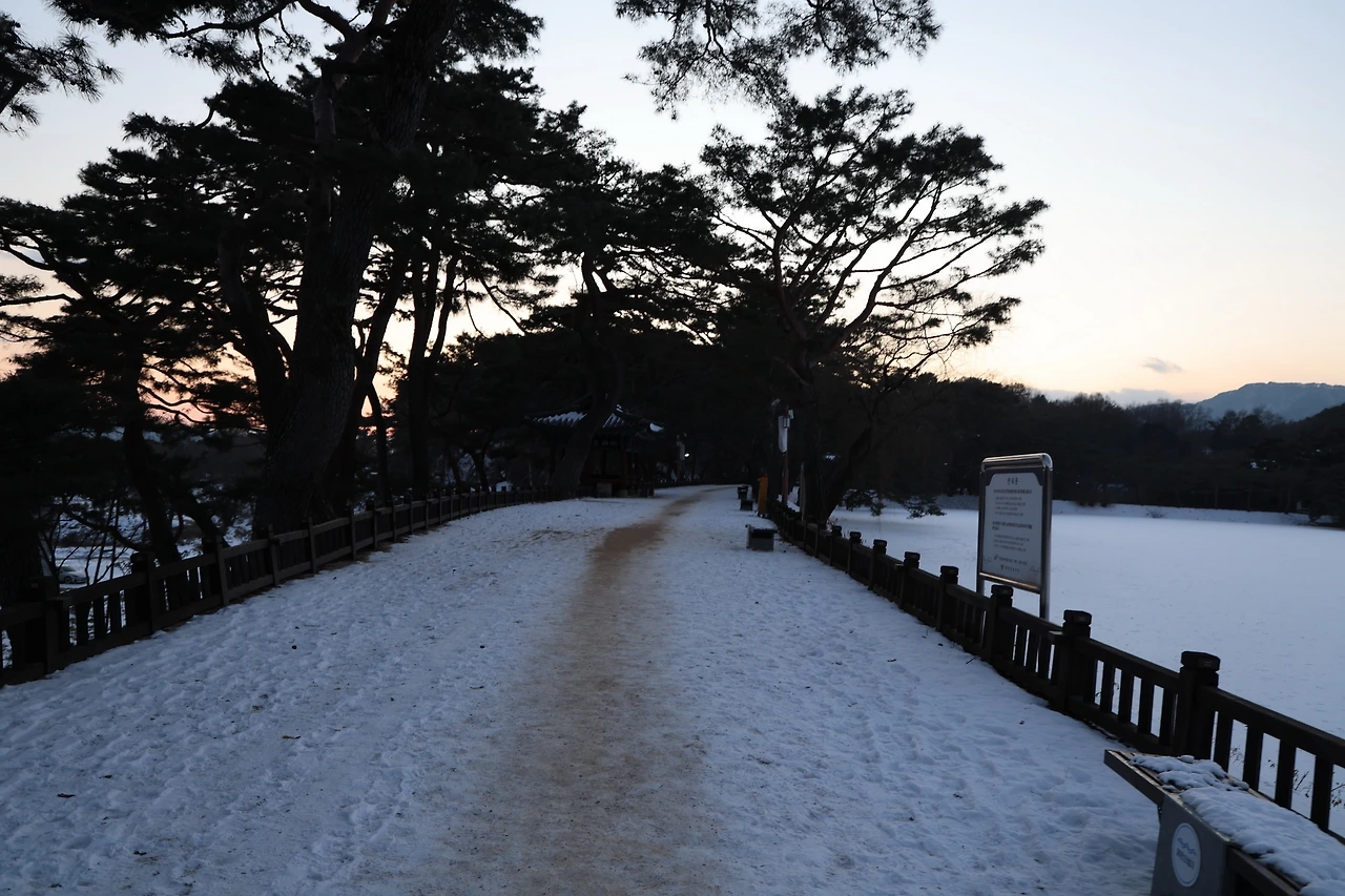 0R5A8250_новый размер.JPG