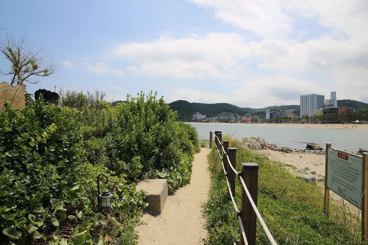 MG0A5906_новый размер.JPG